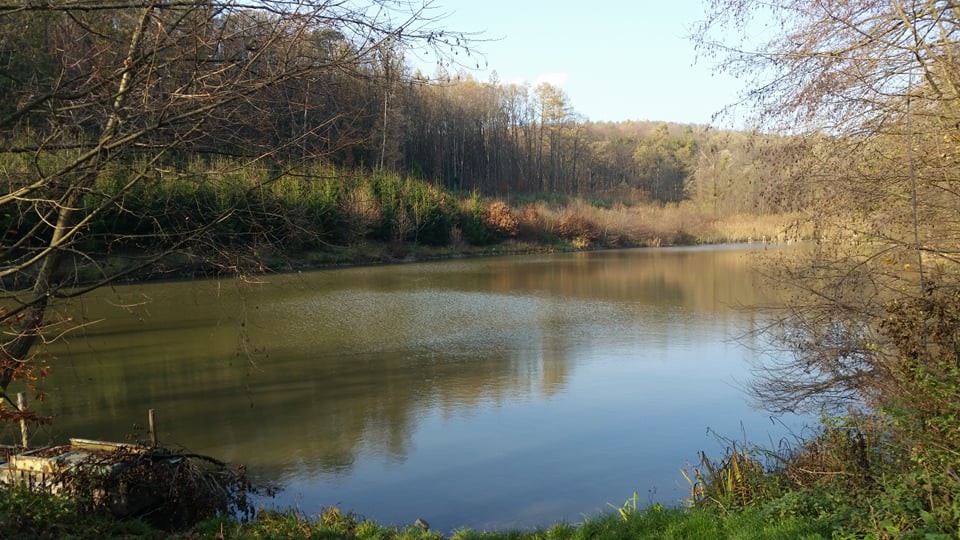 Zboženské rybníky. I zde se hrál ve Zlíně hokej 51910981_380537782760069_1040667908646109184_n.jpg